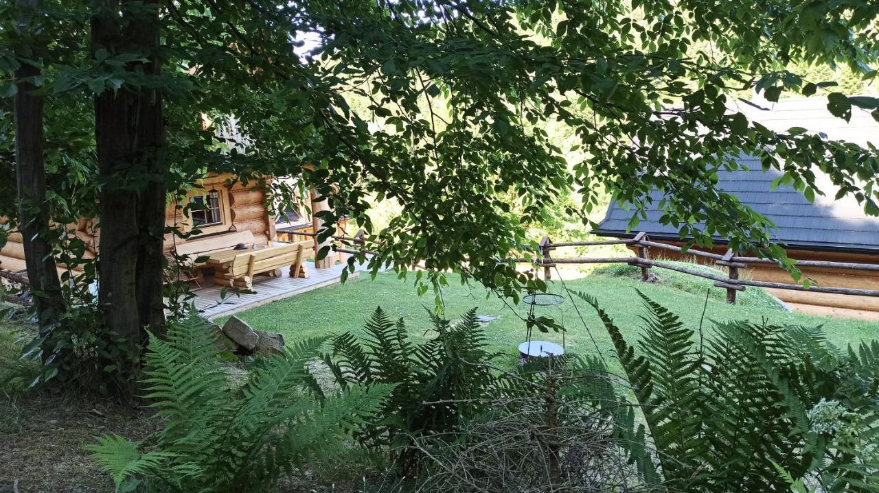 Vila Osada Mala Kozowka Myślenice Exteriér fotografie