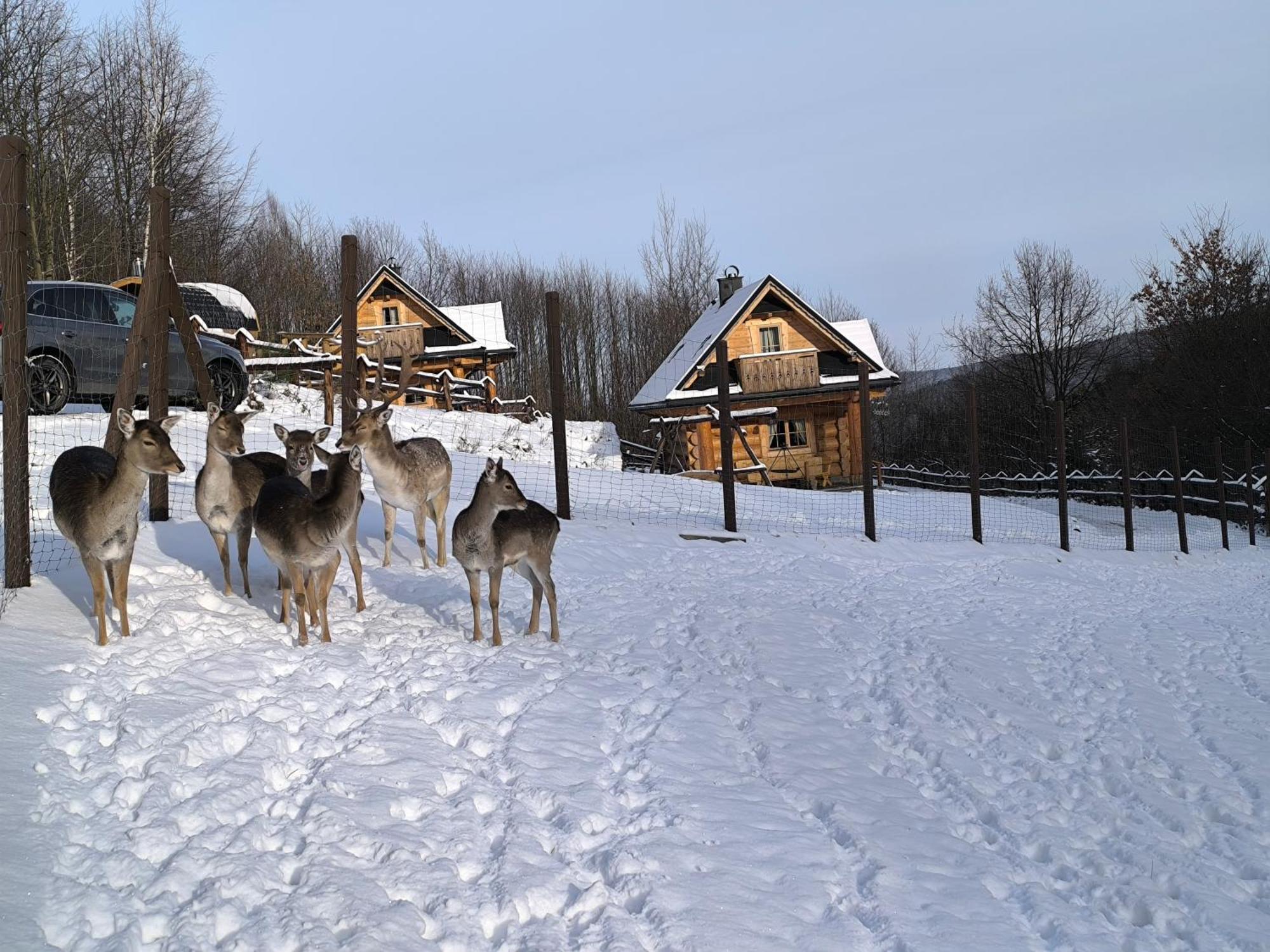 Vila Osada Mala Kozowka Myślenice Exteriér fotografie